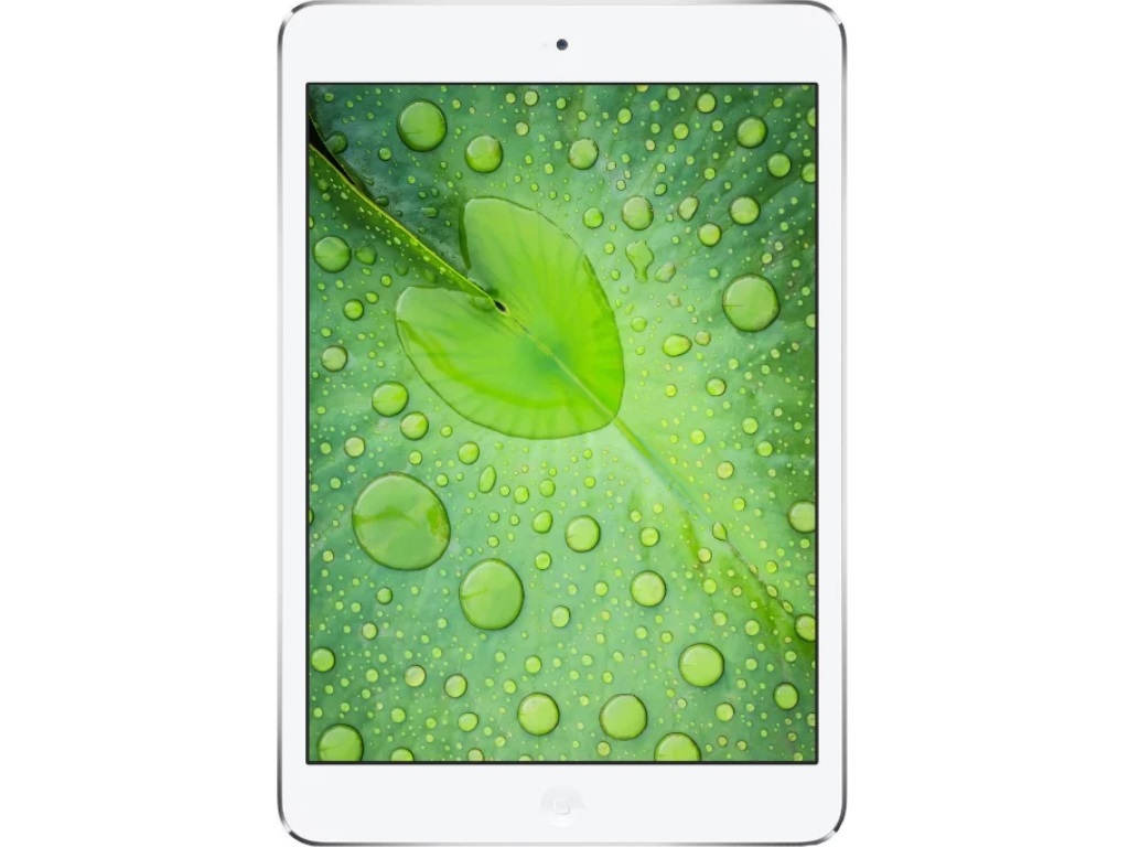 iPad mini 2