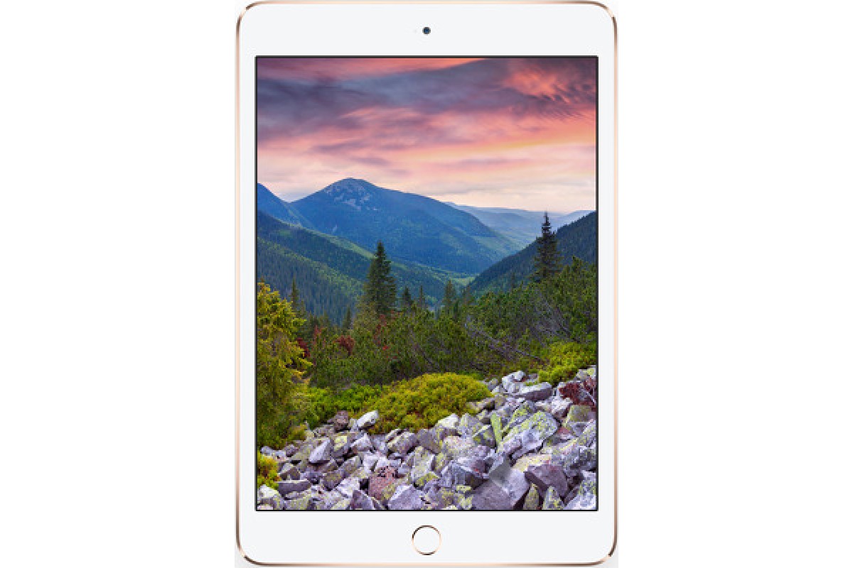 iPad mini 3