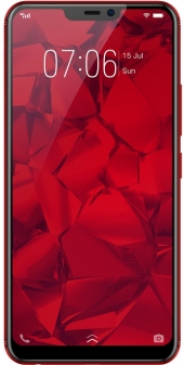 Y81